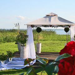 Imagebild Festwiese und Hochzeitspavillon mit roten Rosen