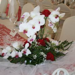 Inselhof Vineta Hochzeit Detailbild einer Orchidee